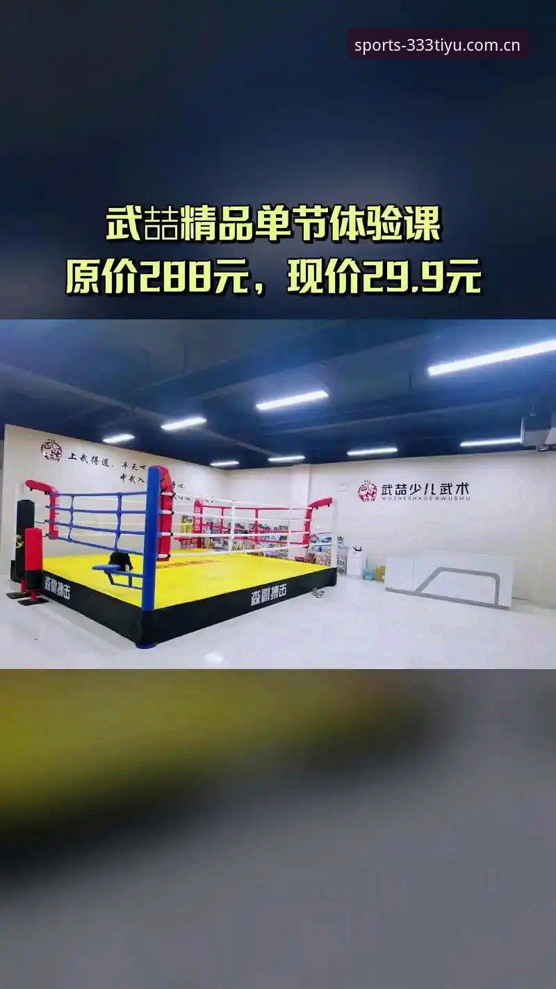 333体育官网安全使用指南：从入口到下载的完整流程解析